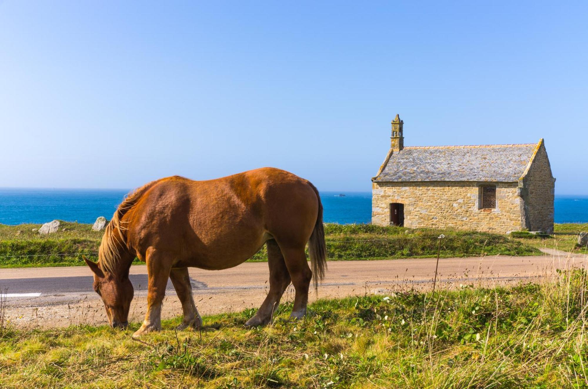 Gwel Ar Mor - Jolie Maison De Charme Renovee Proche Du Port Lanildut Luaran gambar